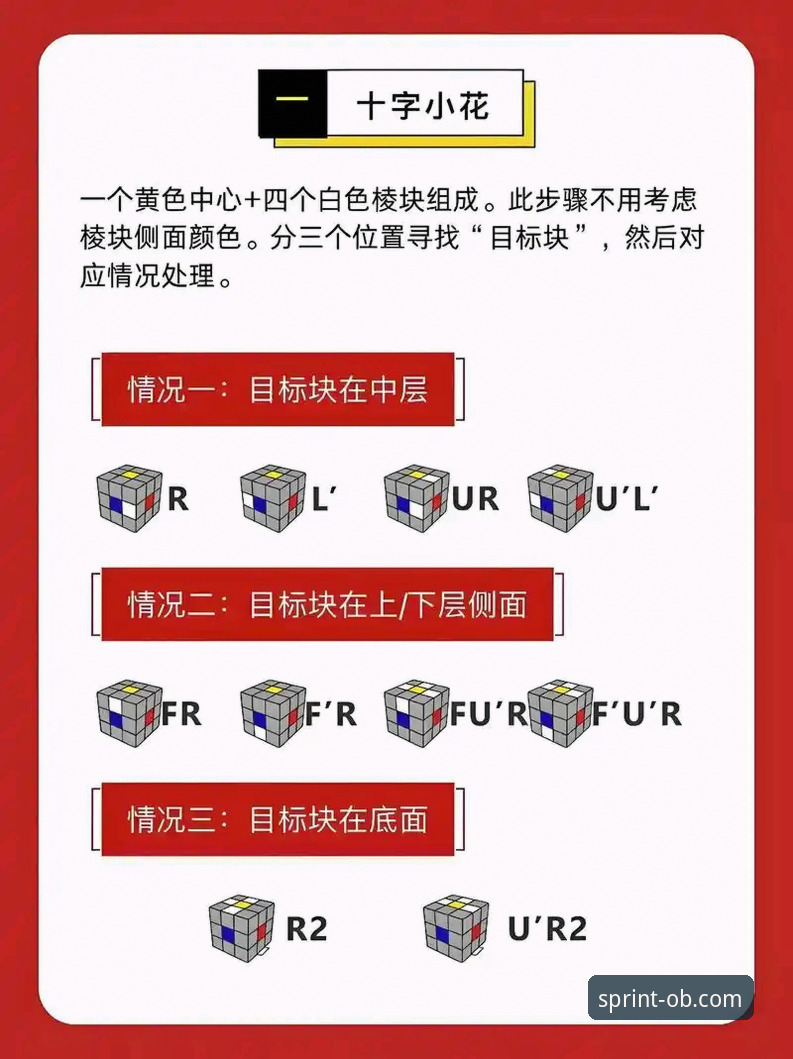欧宝新手教程2026最新版本详解：从入门到精通